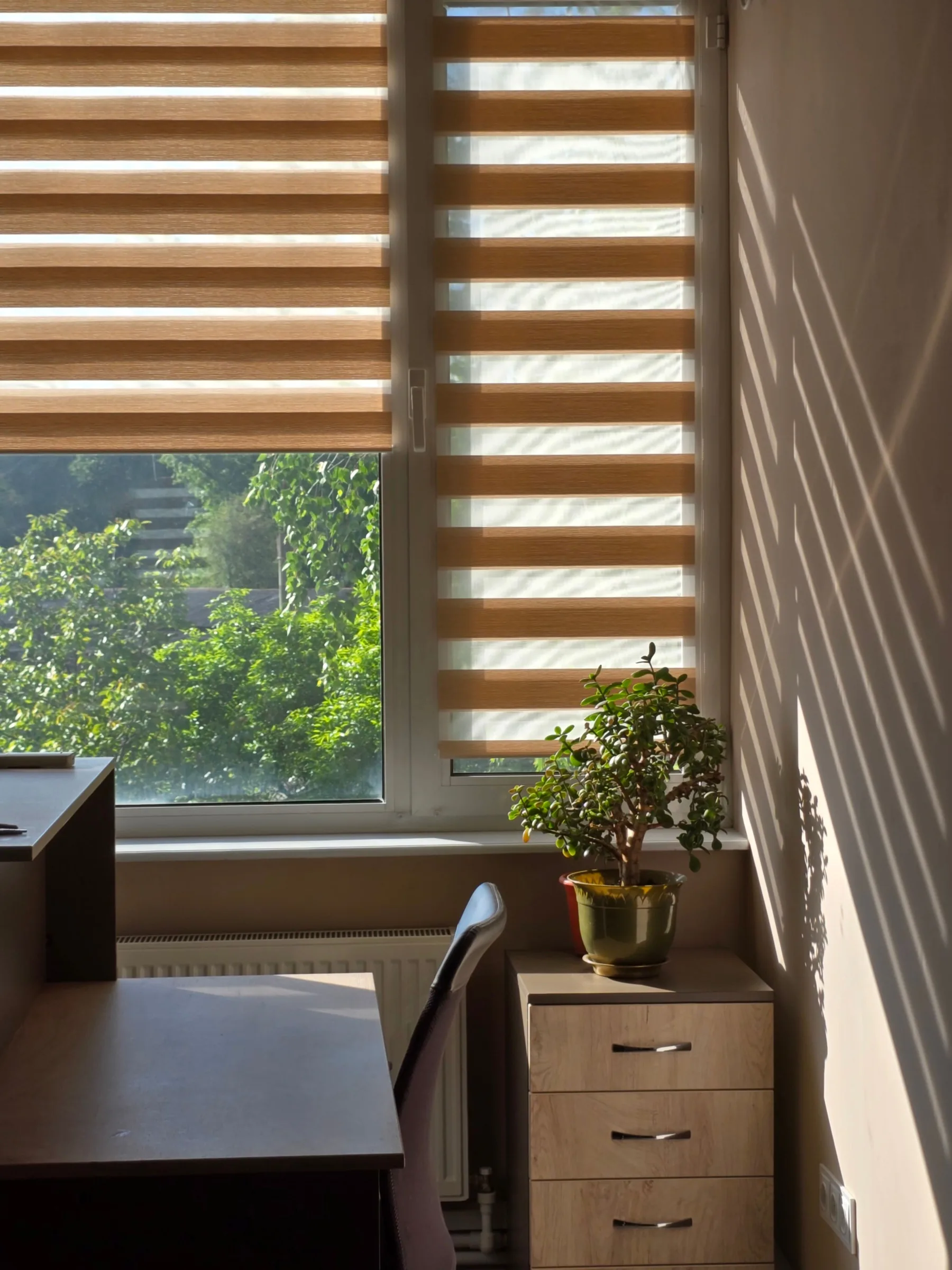 A living room with two windows and a couch